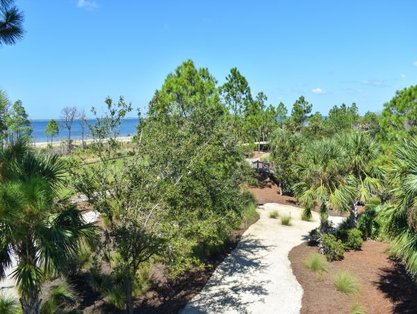 Mexico Beach Home 1024889