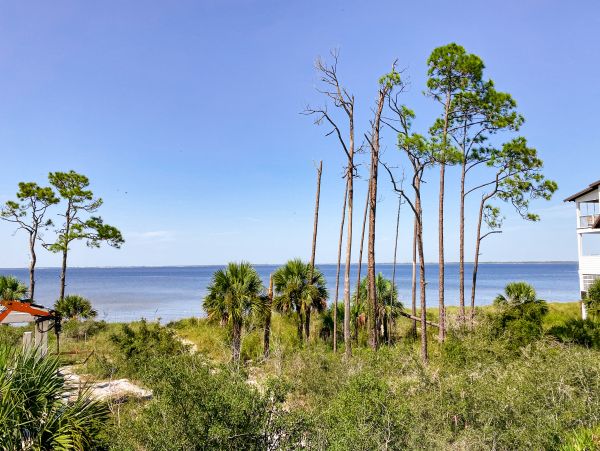 Mexico Beach Home 1024895