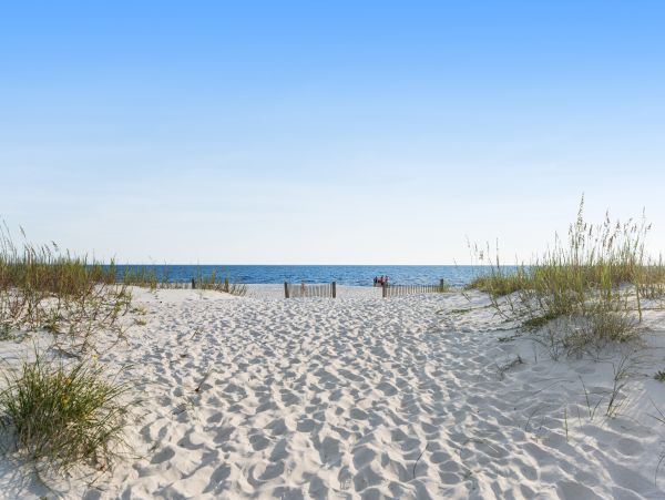 Mexico Beach Home 1024905