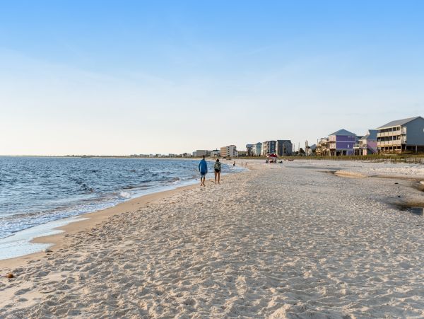 Mexico Beach Home 1024905