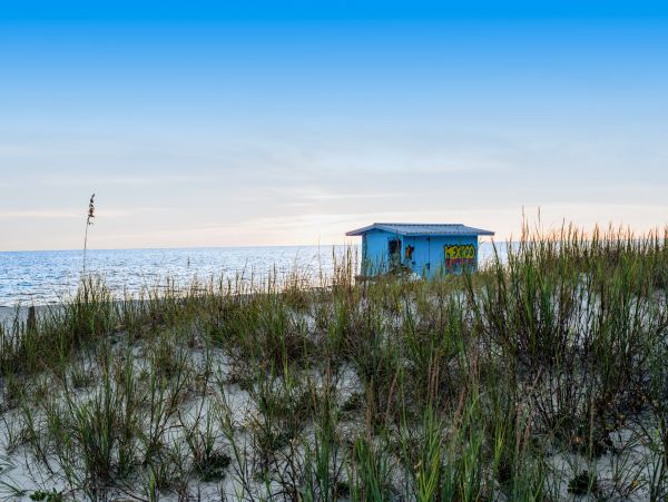 Mexico Beach Home 1024905