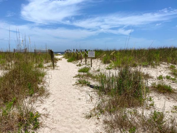 Mexico Beach Home 1024906