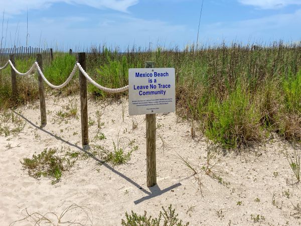 Mexico Beach Home 1024906