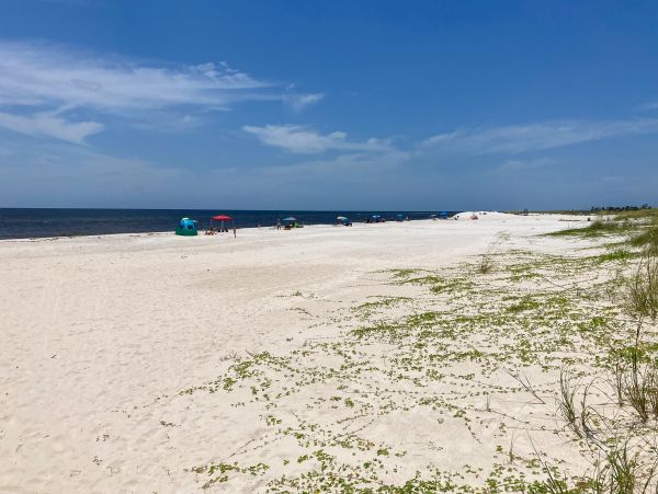 Mexico Beach Home 1024906