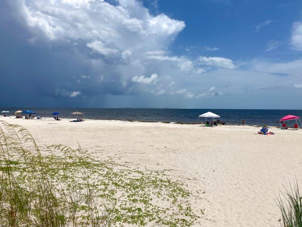 Mexico Beach Home 1024906
