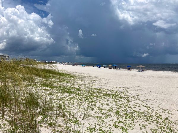 Mexico Beach Home 1024906