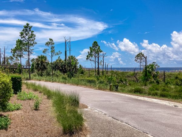 Mexico Beach Home 1024916