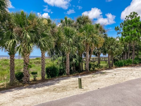 Mexico Beach Home 1024916