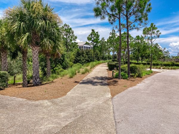 Mexico Beach Home 1024916