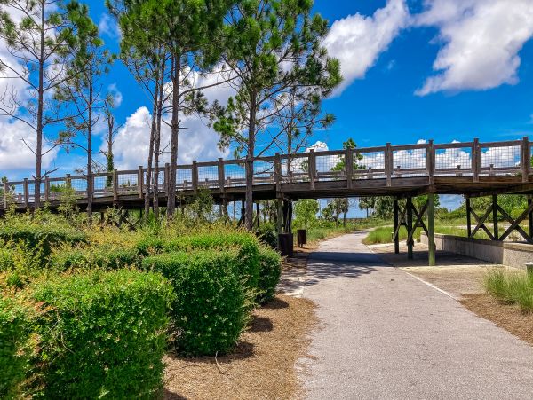 Mexico Beach Home 1024916