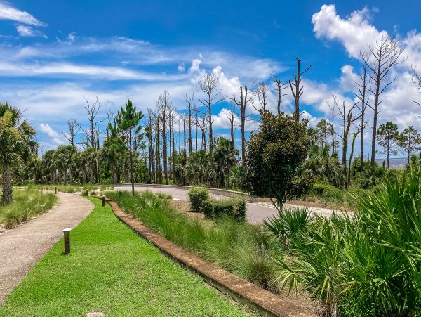 Mexico Beach Home 1024916