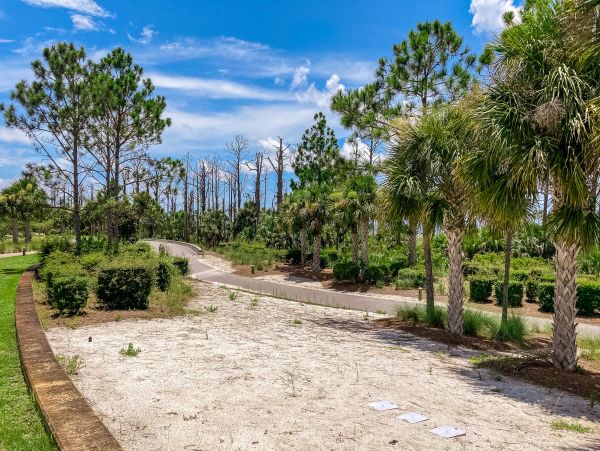 Mexico Beach Home 1024916