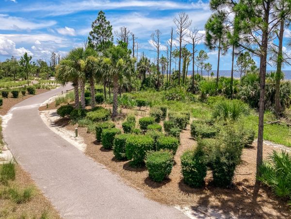 Mexico Beach Home 1024916