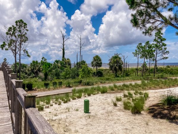 Mexico Beach Home 1024916