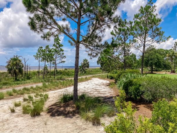 Mexico Beach Home 1024916