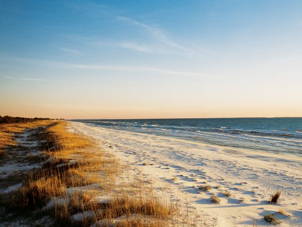 Mexico Beach Home 1024918