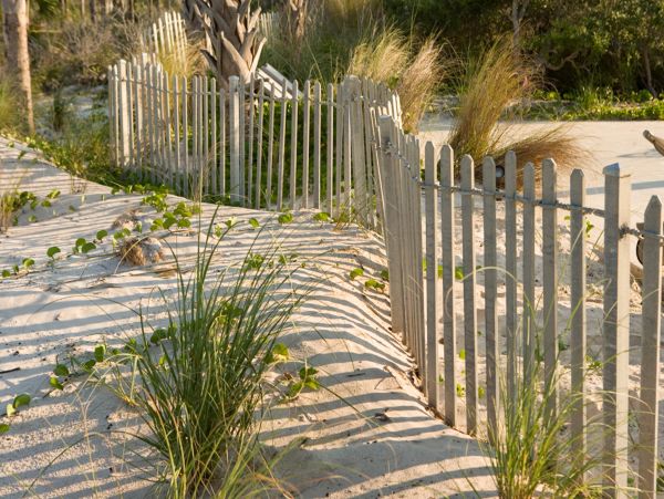 Mexico Beach Home 1024918