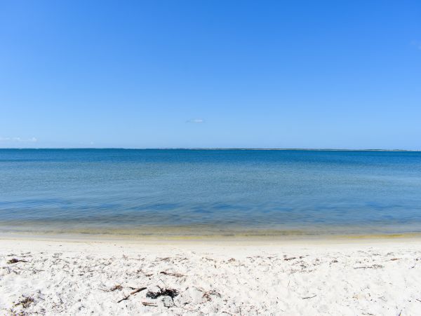 Mexico Beach Home 1024918
