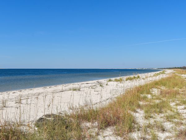 Mexico Beach Home 1024918