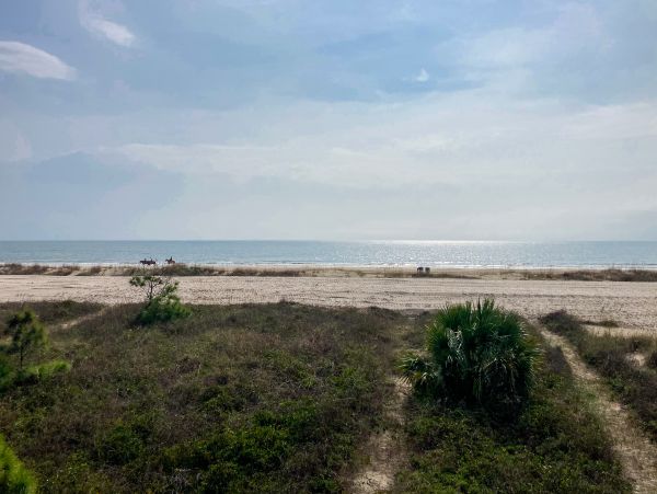 Mexico Beach Home 1024919