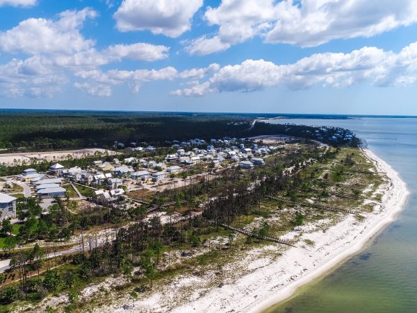 Mexico Beach Home 1024920
