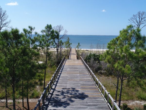 Mexico Beach Home 1024921