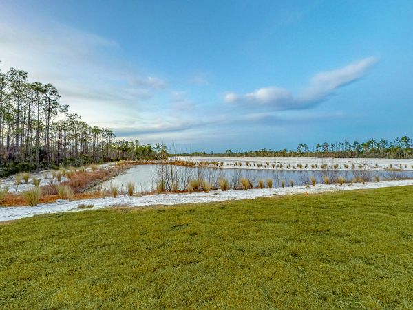 Mexico Beach Home 1024923