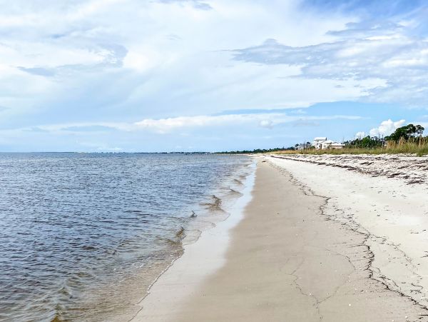 Mexico Beach Home 1024925