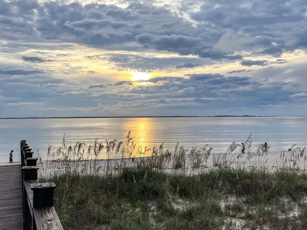 Mexico Beach Home 1024925
