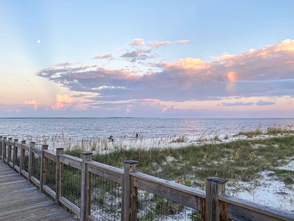 Mexico Beach Home 1024925