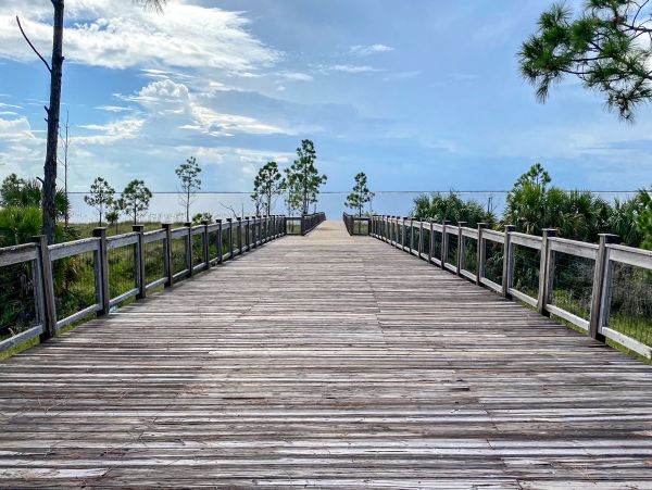 Mexico Beach Home 1024925