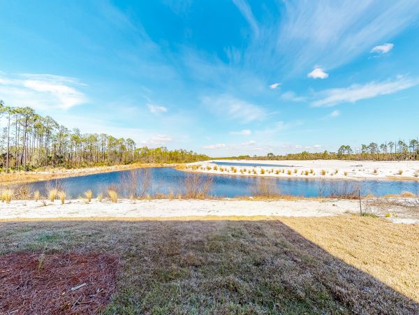 Mexico Beach Home 1024928