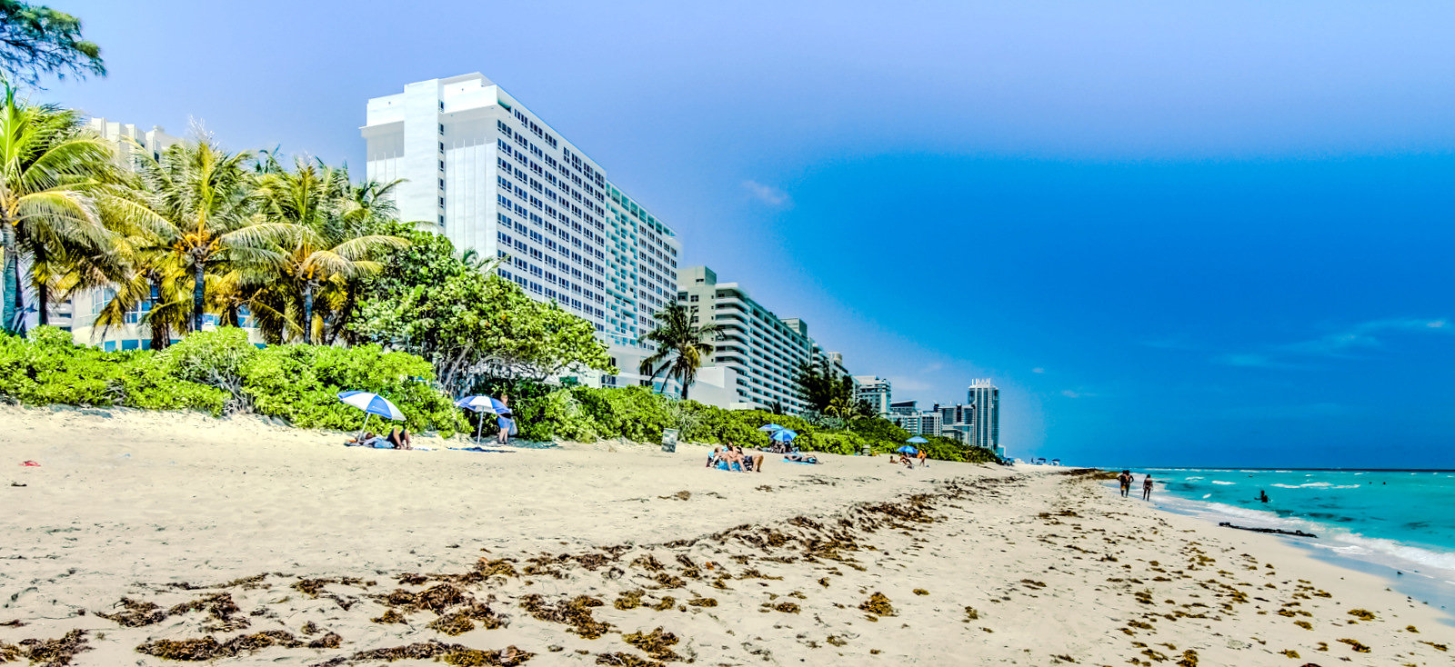 Miami Beach Condo 1024973