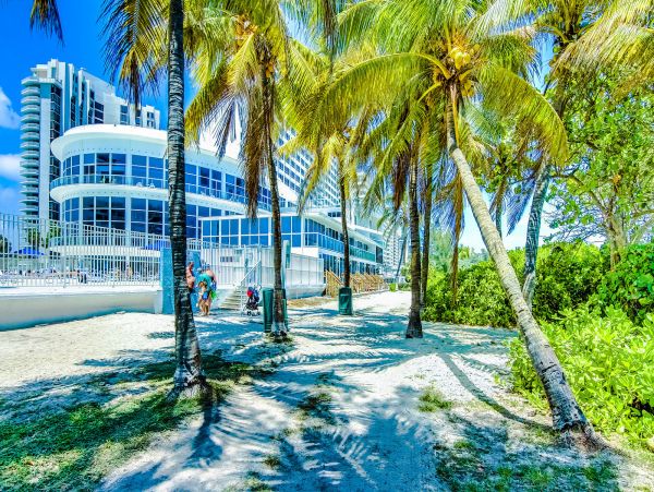 Miami Beach Condo 1024973