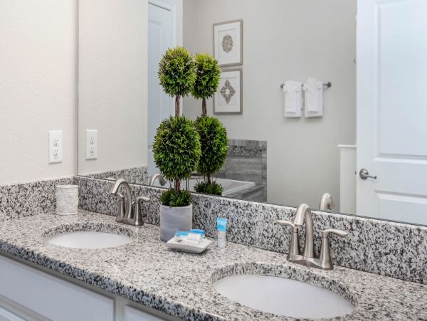 Orlando Home 1025025