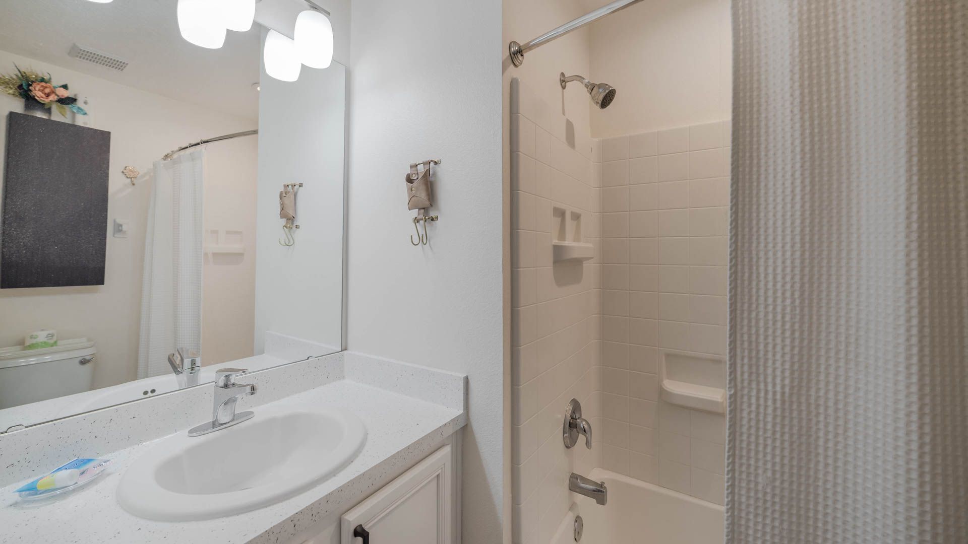 Orlando Home 1025041