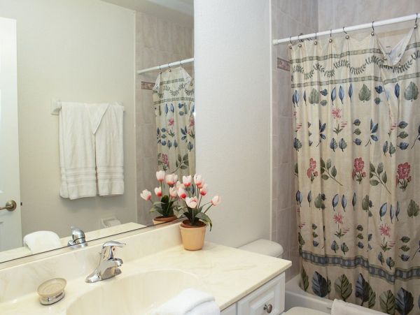 Orlando Home 1025068