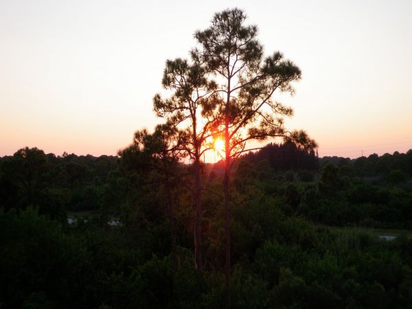 Orlando Condo 1025071