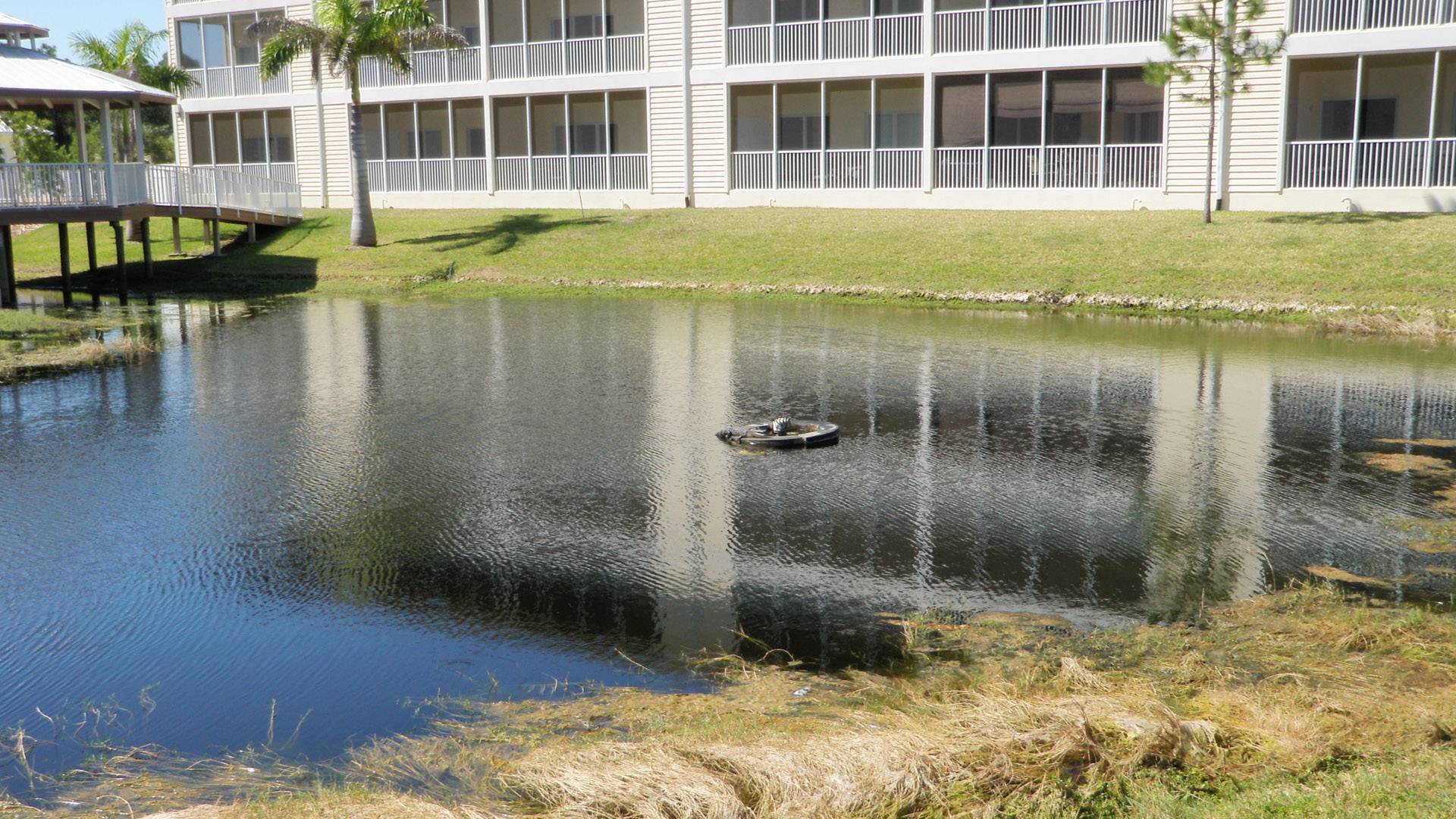 Orlando Condo 1025071