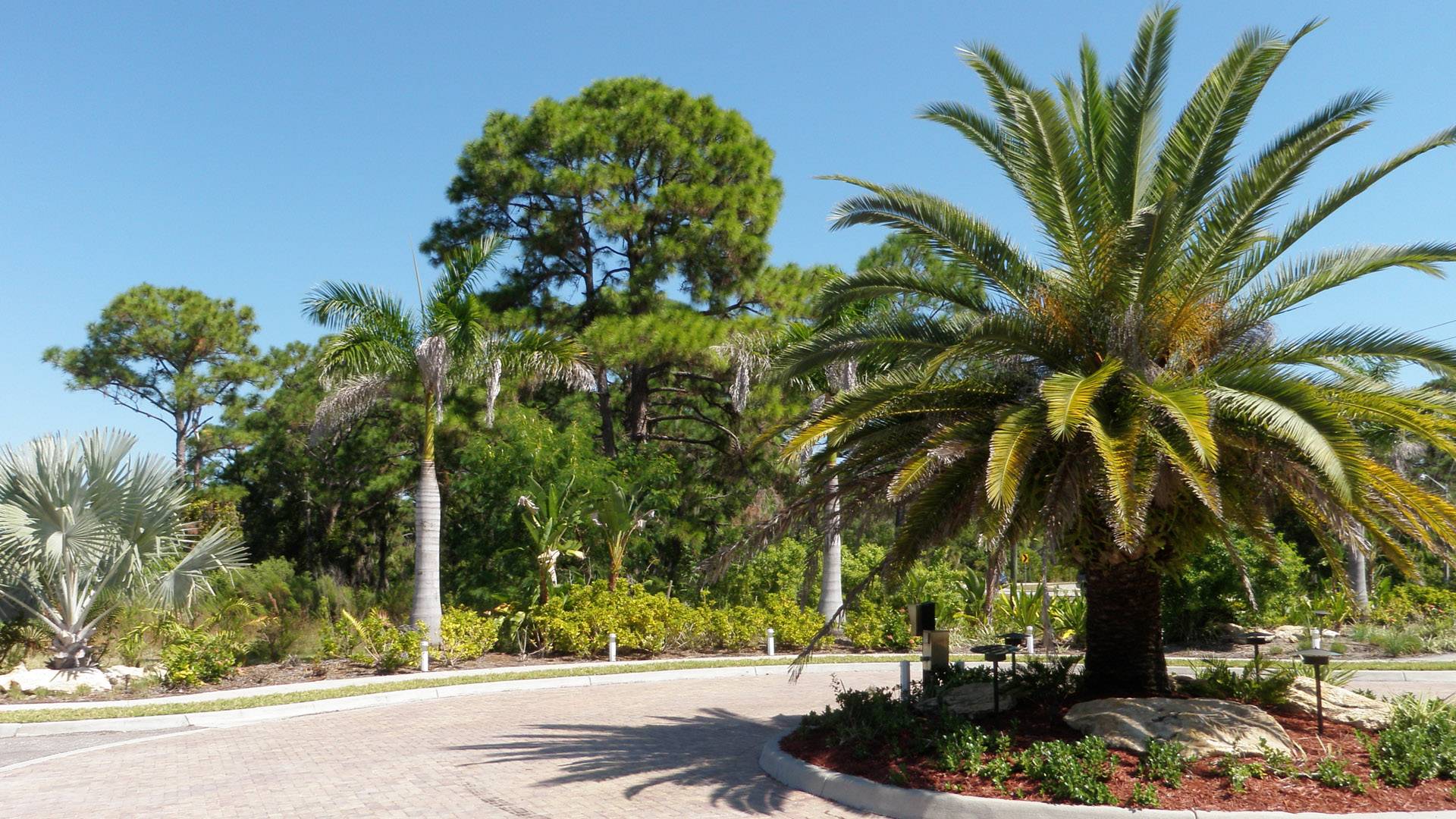 Orlando Condo 1025071