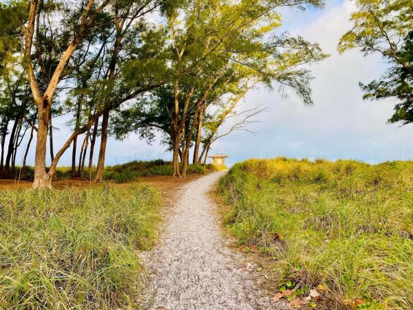 Anna Maria Island Holmes Beach Condo 1025085