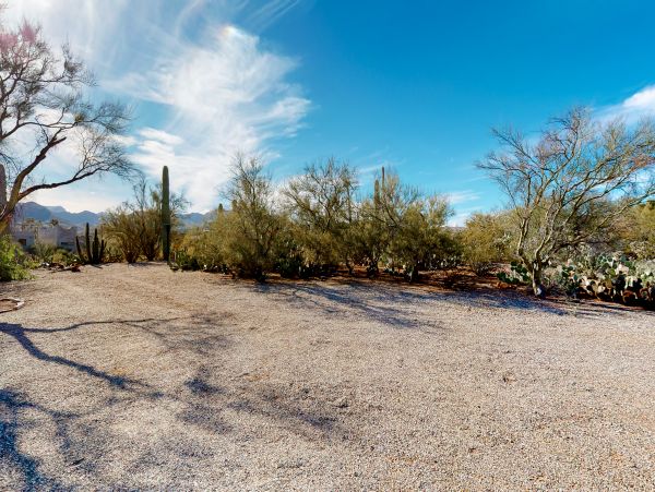 Tucson Home 1025091