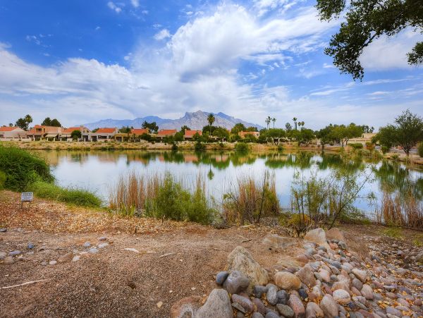 Tucson Home 1025092