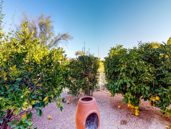 Tucson Home 1025092
