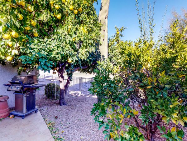 Tucson Home 1025092