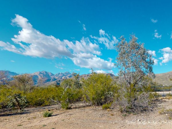 Tucson Home 1025094
