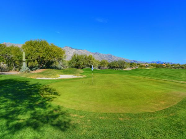 Tucson Home 1025095
