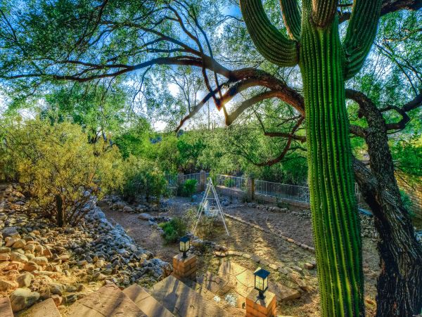 Tucson Home 1025096