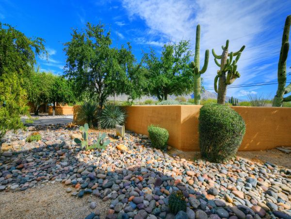 Tucson Home 1025098