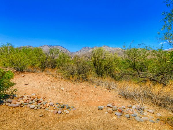 Tucson Home 1025099